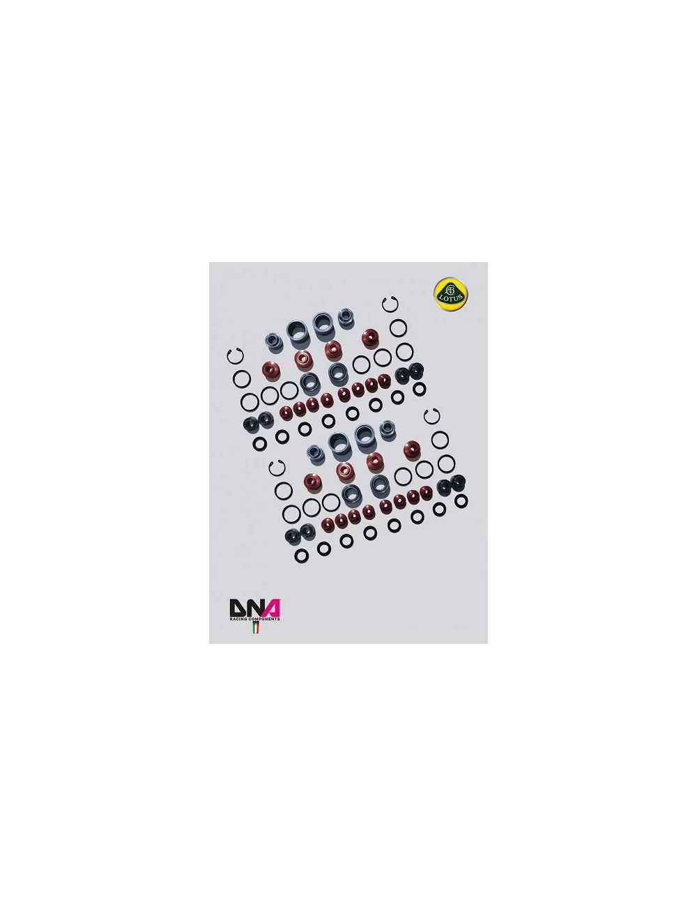 DNA RACING KIT UNIBALL PER TRAPEZI STANDARD LOTUS EXIGE V6