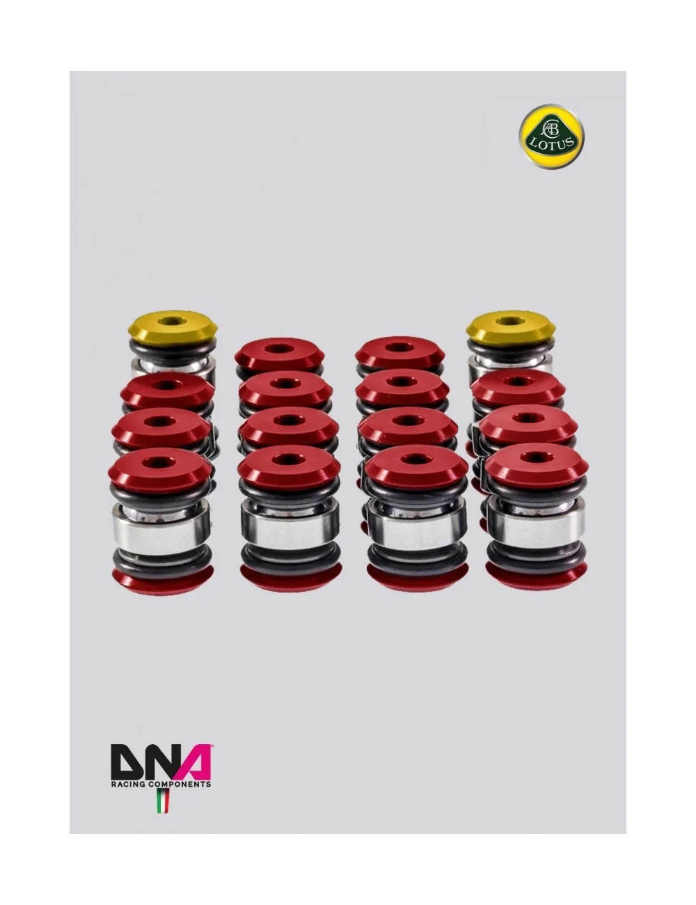 DNA RACING KIT UNIBALL PER TRAPEZI SOSPENSIONI STANDARD LOTUS ELISE EXIGE L4