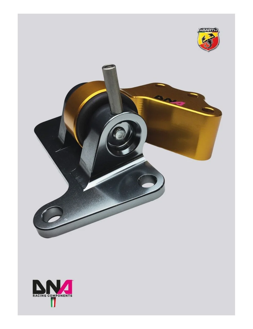DNA RACING KIT SUPPORTO MOTORE TRACK DAY LATO DISTRIBUZIONE 500 ABARTH EU