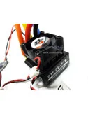 HIMOTO Regolatore brushless 1/10 Himoto con sensori 60A