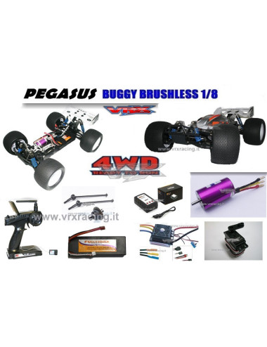 MegaBuggy PEGASUS VRX-2E Versione 2014 motore brushless Radio fly sky con batteria Lipo 11,1 in scala 1/8 4WD RTR