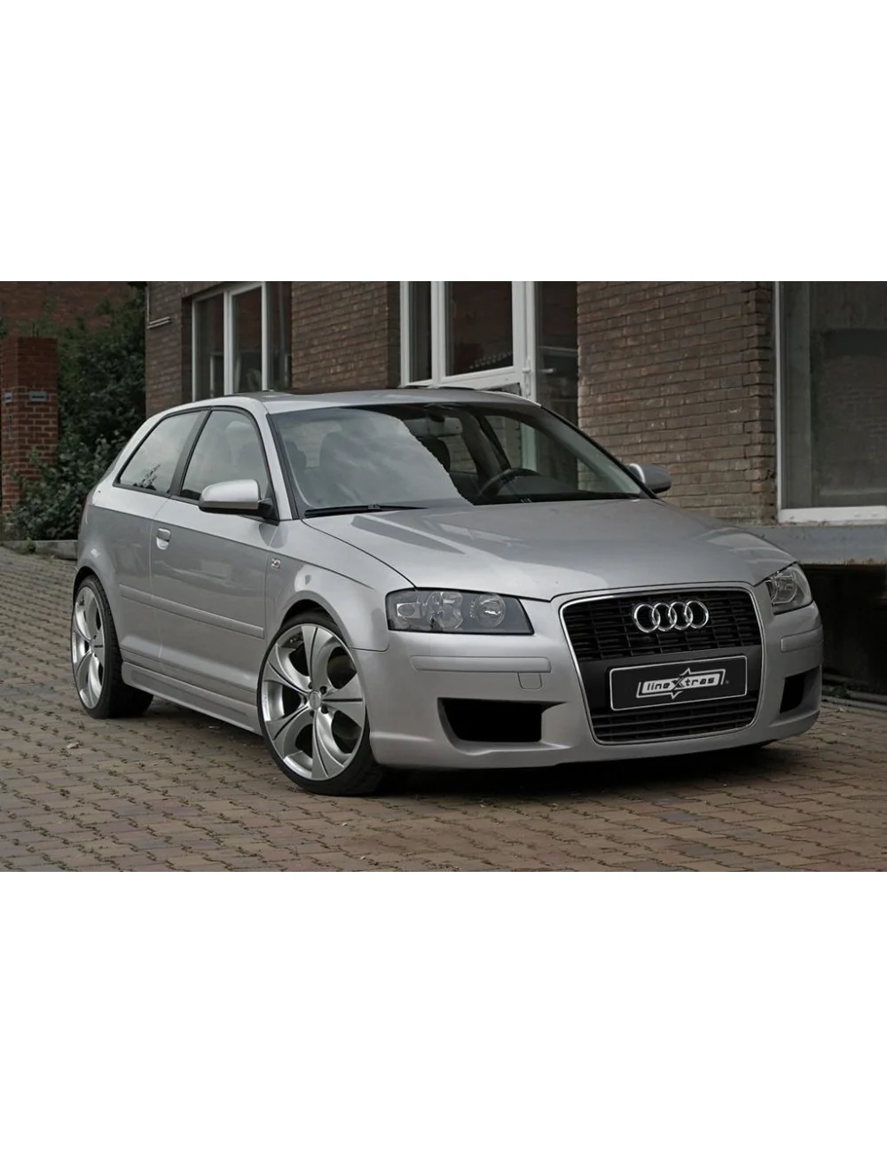 COPPIA DI MINIGONNE SOTTOPORTA IN VETRORESINA AUDI A3 8P