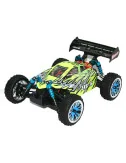 Buggy brushless EXB-16 2.4Ghz Himoto 1:16